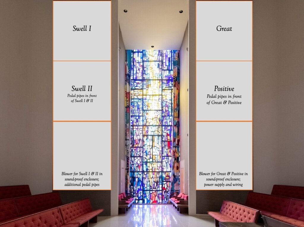 Diagram showing the locations of the different divisions of organ within the two chambers. 